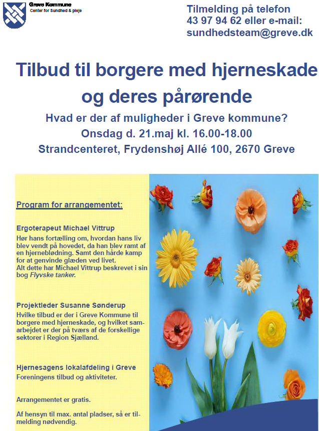 Hjerneskade