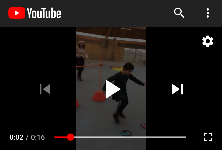 Forhindringsbanen bliver gennemført i flot stil YouTube